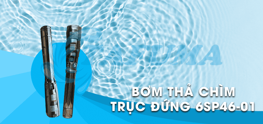 Bơm thả chìm trục đứng 6SP46-01