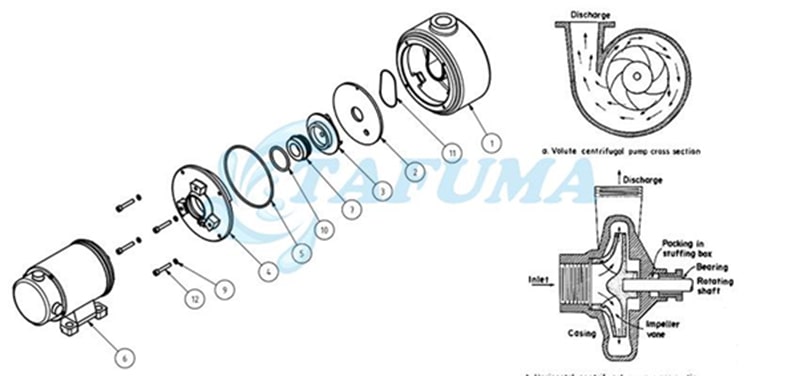 Máy bơm chìm Ranking BP 2000