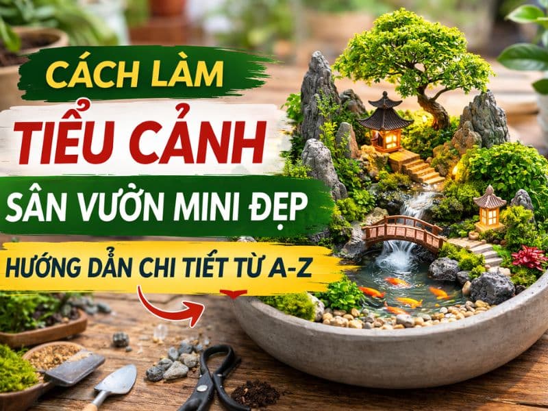 cách làm tiểu cảnh sân vườn mini