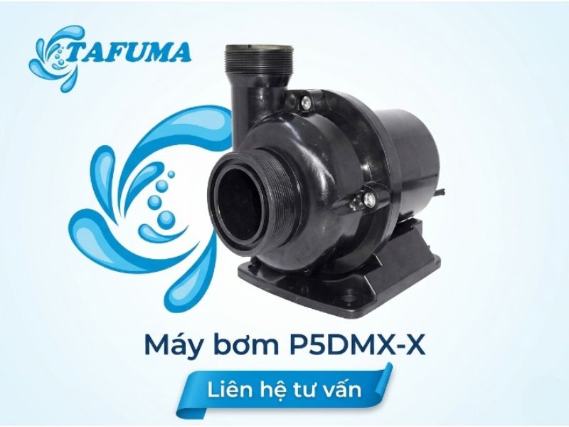 Máy bơm P5DMX-X