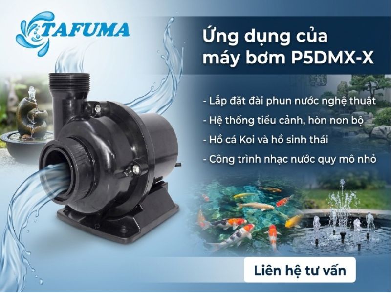 Máy bơm P5DMX-X