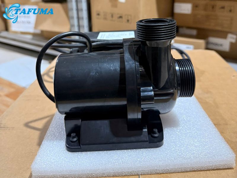 Máy bơm P5DMX-X