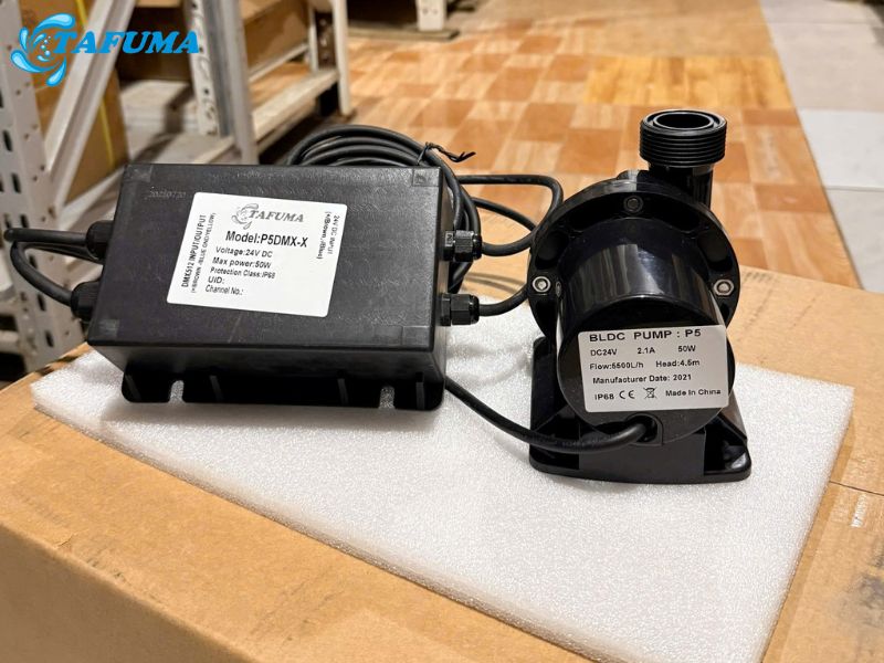 Máy bơm P5DMX-X