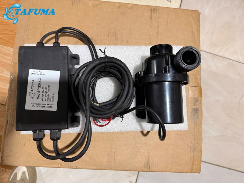 Máy bơm P5DMX-X