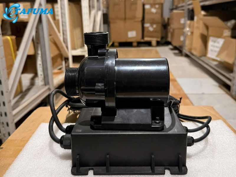Máy bơm P5DMX-X